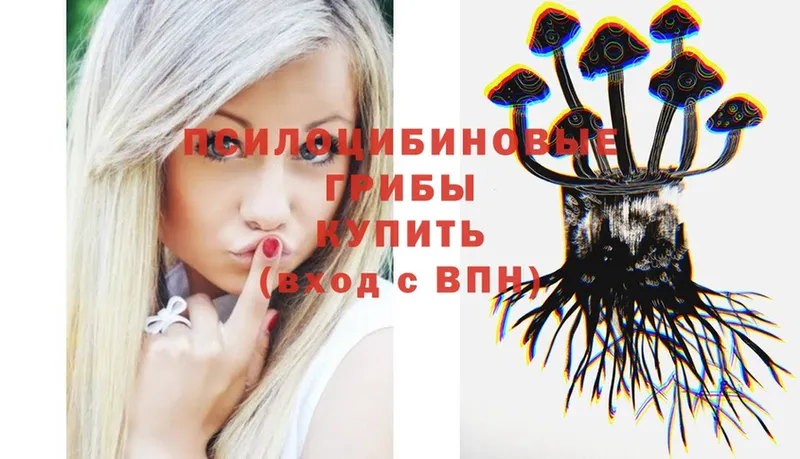 Галлюциногенные грибы Psilocybe  Артёмовск 